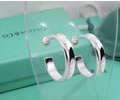 Tiffany & CO Earring