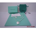 Tiffany & CO Necklace