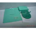 Tiffany & CO Necklace