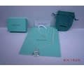 Tiffany & CO Necklace