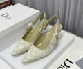 Dior Women Shoes Best quality