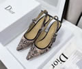 Dior Women Shoes Best quality