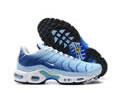 Nike Air Max Plus FJ4736-400 men shoes