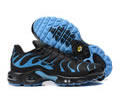 Nike Air Max Plus DM0032-005 men shoes