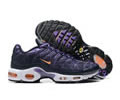 Nike Air Max TN men shoes