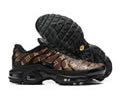 Nike Air Max TN men shoes