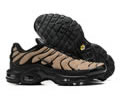Nike Air Max TN men shoes
