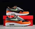 Nike Air Max 1 Ugly Duckling DZ0482-001 Lovers best quality