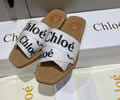 Chloe Women Slippers best quality 1:1