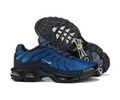 Nike Air Max Plus Blue Hex DC1935-400 men shoes