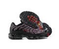Nike Air Max Plus Topography Pack DJ0638-001 men shoes