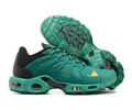 Nike Air Max Terrascape Plus men shoes