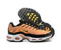 Nike Air Max Plus DM0032-800 men shoes