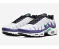 Nike Air Max Plus Grape DM0032-100 men shoes
