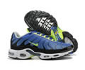 Nike Air Max Plus DM0032-400 men shoes