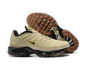 Nike Air Max Plus DZ4501-700 men shoes