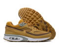 Nike Air Max BW Mens shoes