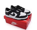 Nike Dunk Low Kids shoes