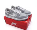 Nike Dunk Low Kids shoes