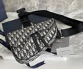 Dior Saddle Bag Top quality 1:1