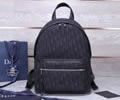 Dior Oblique Size S BackPack top quality 1:1