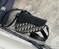Dior Saddle Bag Top quality 1:1