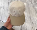 CELINE Cap With box best quality 1:1