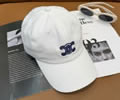 CELINE Cap With box best quality 1:1