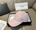 DIOR Cap With box best quality 1:1