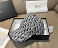 DIOR Cap With box best quality 1:1