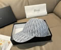 DIOR Cap With box best quality 1:1