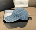 DIOR Cap With box best quality 1:1