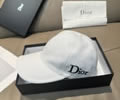 DIOR Cap With box best quality 1:1