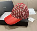 DIOR Cap With box best quality 1:1
