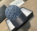 DIOR Cap With box best quality 1:1