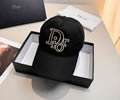 DIOR Cap With box best quality 1:1