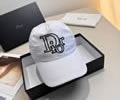 DIOR Cap With box best quality 1:1