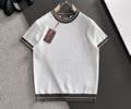 Loro Piana Mens T-shit best quality
