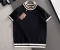 Loro Piana Mens T-shit best quality