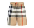BURBERRY Lovers pants best quality