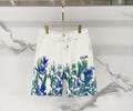 DIOR Lovers pants best quality