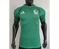 Player Version Mexico Training Soccer Jersey 26 27