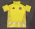 Scotland Goalkeeper Soccer Jersey 26 27