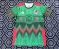 Mexico Special Soccer Jersey 25 26
