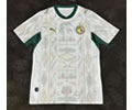 Senegal Home Soccer Jersey 25 26