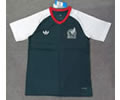 Mexico Training Soccer Jersey 2026 2027