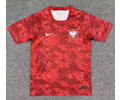 Poland Away Soccer Jersey 26 27