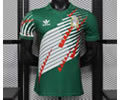 Player Version Mexico Special Soccer Jersey 26 27