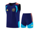 26-27 Spain Vest Training Soccer Suits
