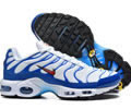 Nike Air Max Plus Tn men shoes